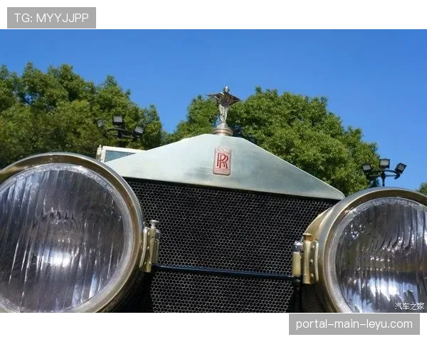 实力排行榜(第一期):王牌、自由人、阳光位列联盟前三